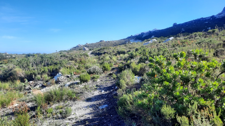0 Bedroom Property for Sale in Bettys Bay Western Cape